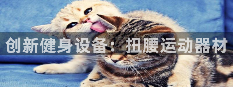 凯捷体育招商电话:创新健身设备:扭腰运动器材