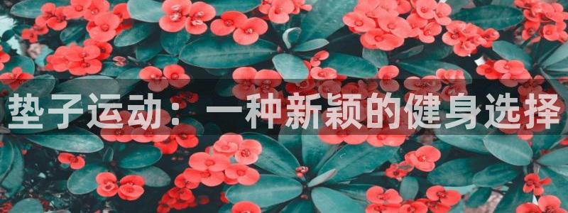 凯捷体育:垫子运动:一种新颖的健身选择