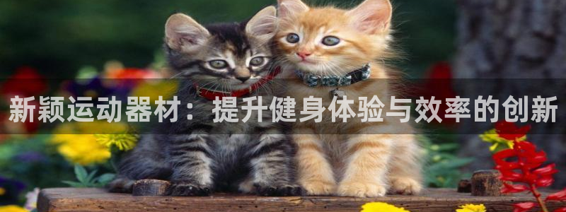 凯捷体育官方客服电话:新颖运动器材:提升健身体验与效率的创新