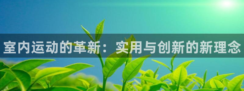 凯捷体育平台注册:室内运动的革新:实用与创新的新理念