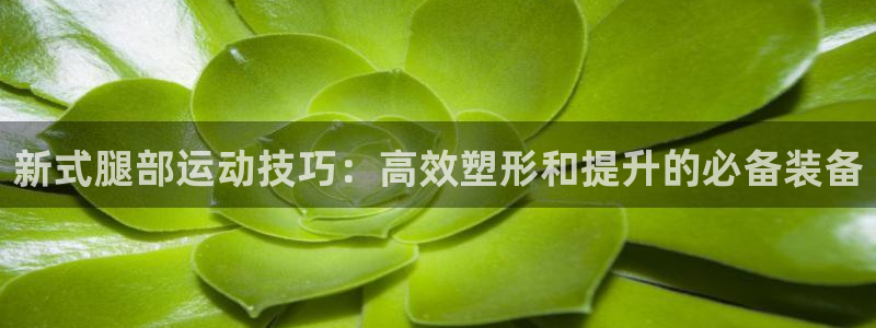 凯捷体育平台是正规平台吗:新式腿部运动技巧:高效塑形和提升的